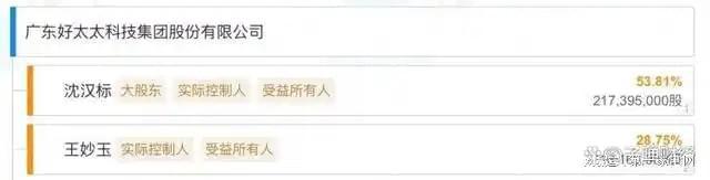 、净利下滑旗下电动晾衣机曾抽查不合格凯发k8入口好太太去年前三季度营收(图4)